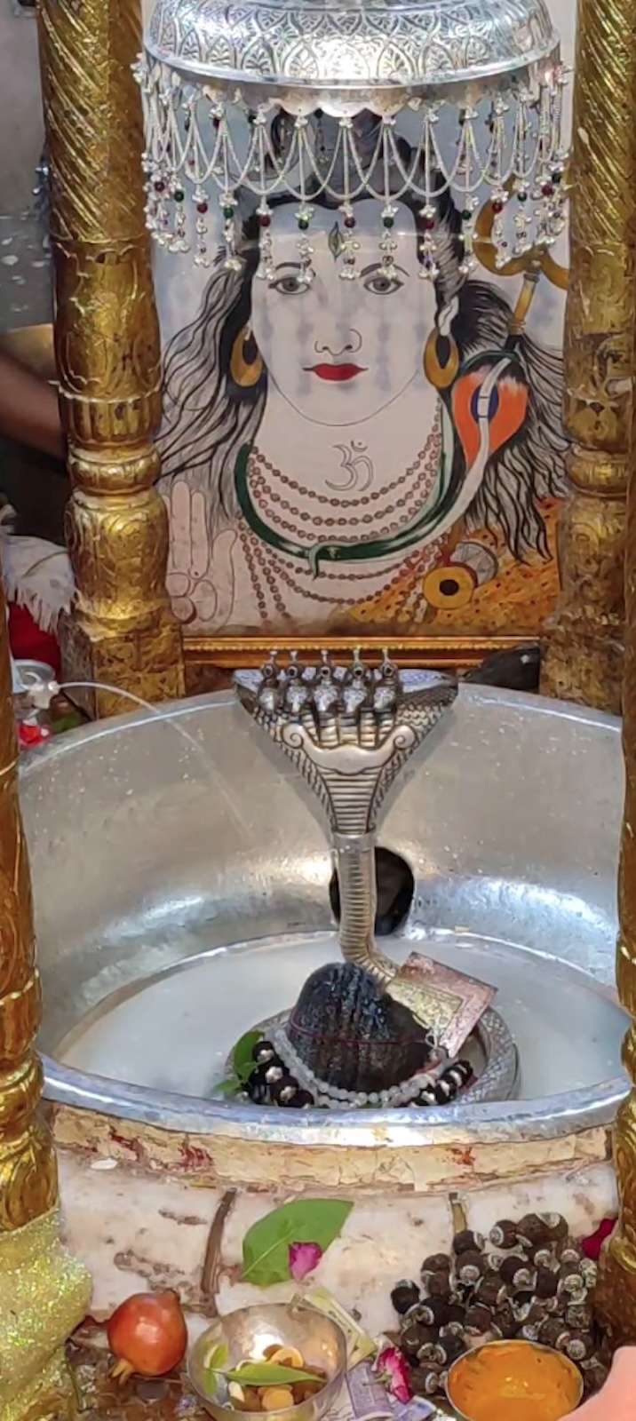 Rudrabhishek to Shree Kubereshwar Mahadev