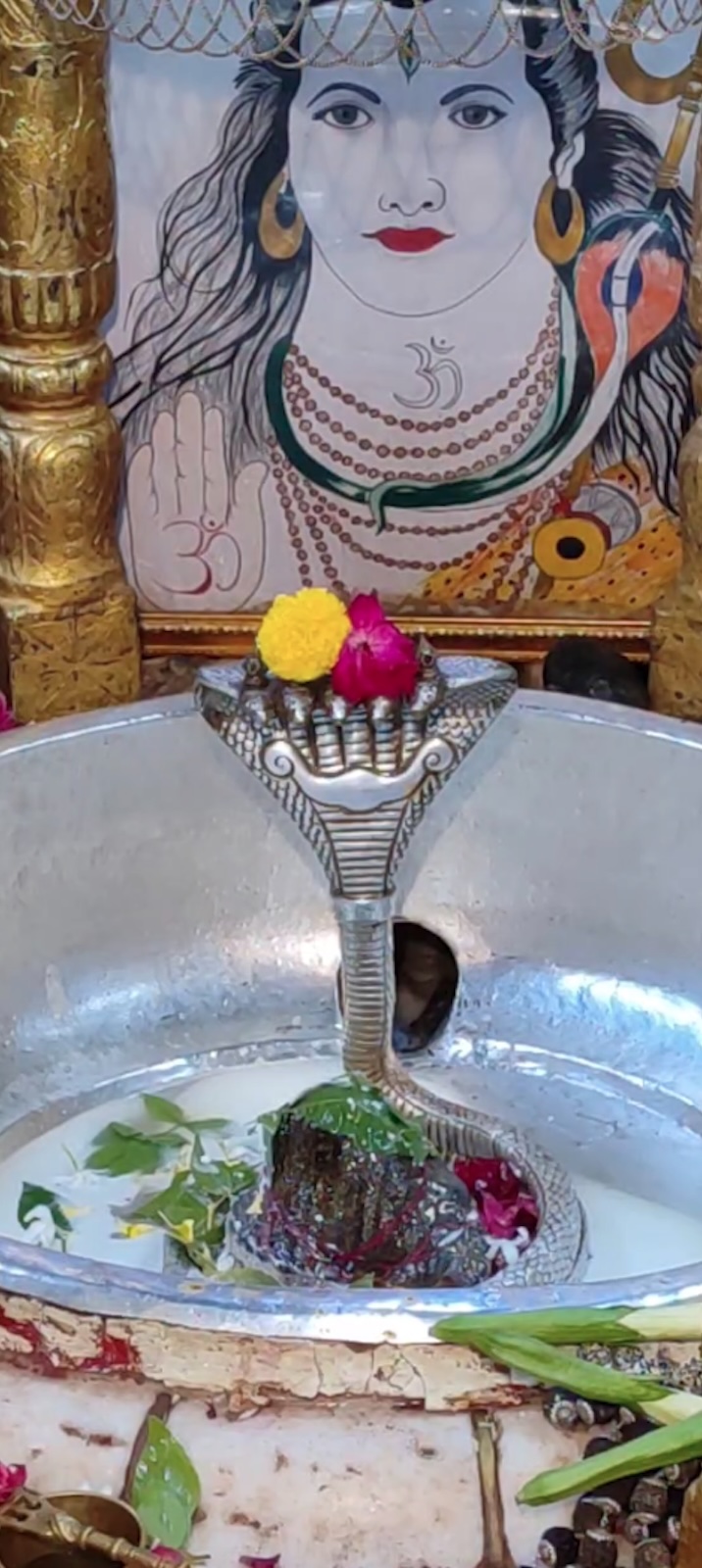 Rudrabhishek to Shree Kubereshwar Mahadev