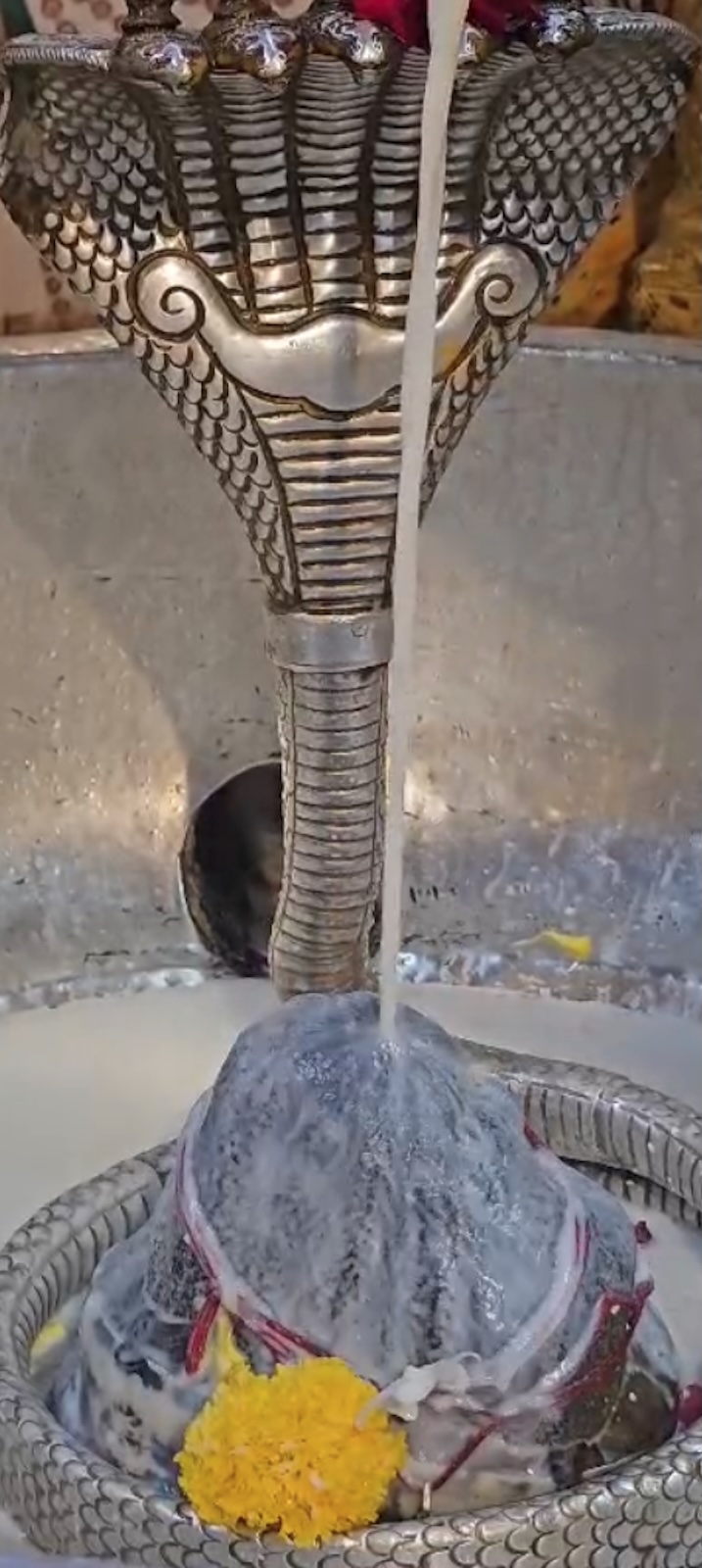 Rudrabhishek to Shree Kubereshwar Mahadev