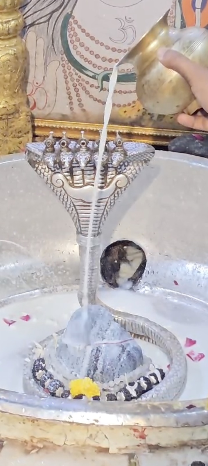 Rudrabhishek to Shree Kubereshwar Mahadev