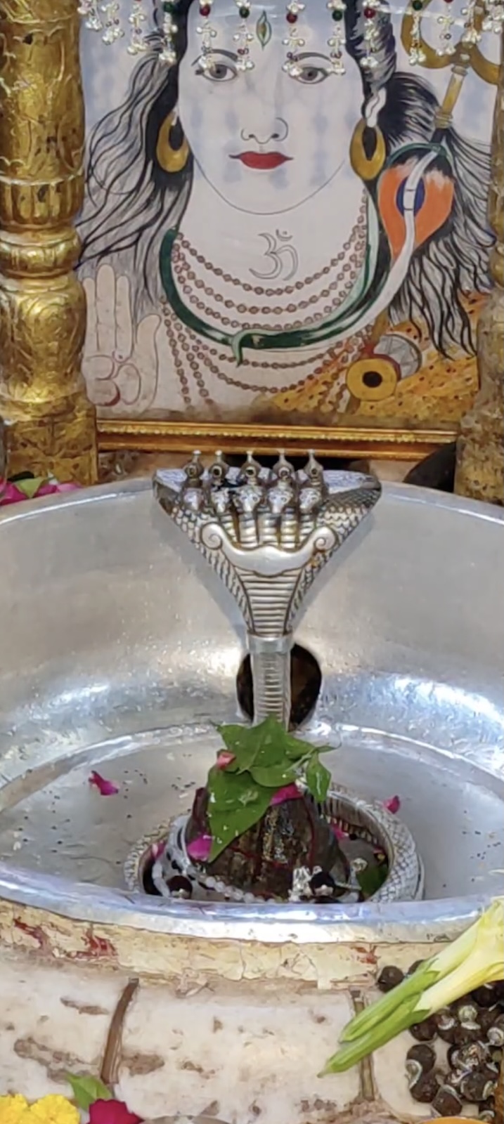 Rudrabhishek to Shree Kubereshwar Mahadev