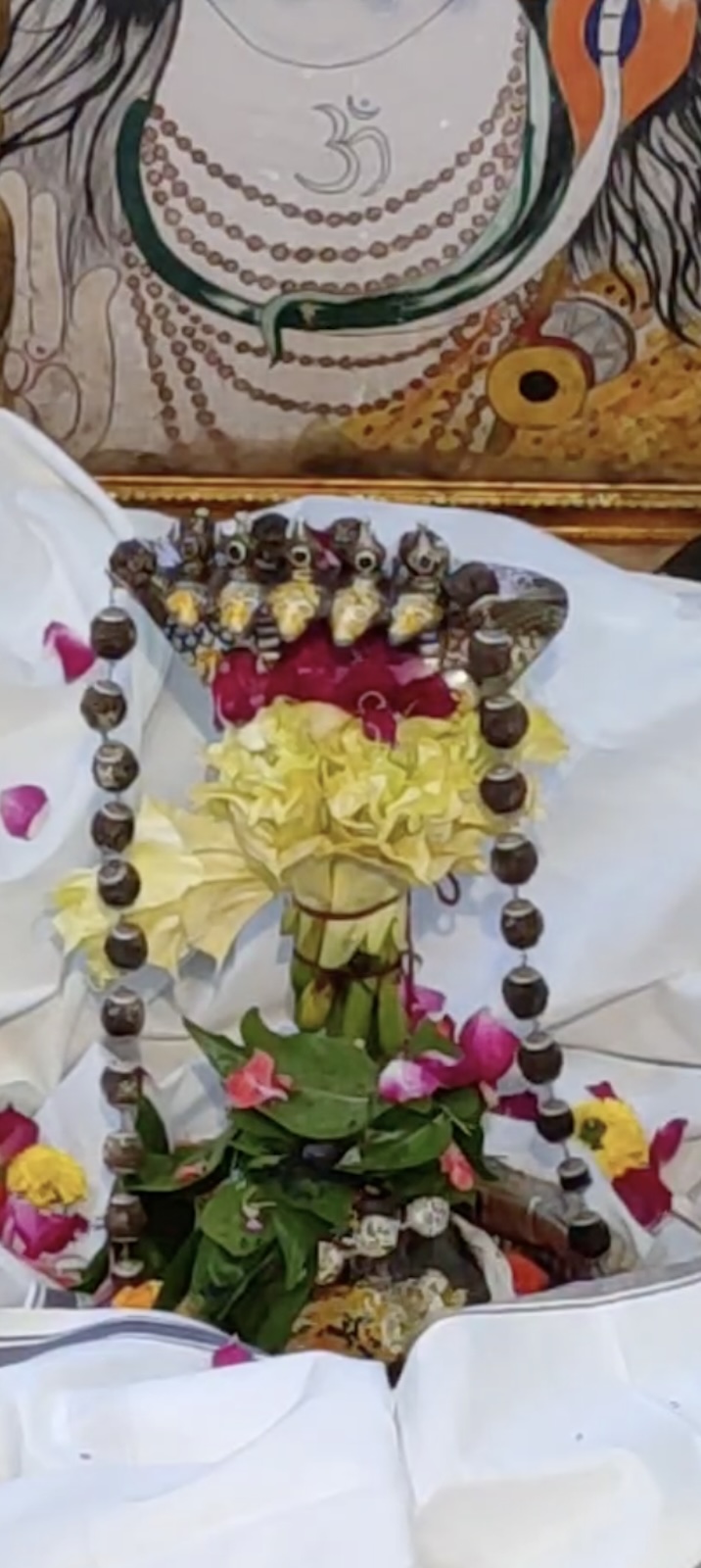Rudrabhishek to Shree Kubereshwar Mahadev