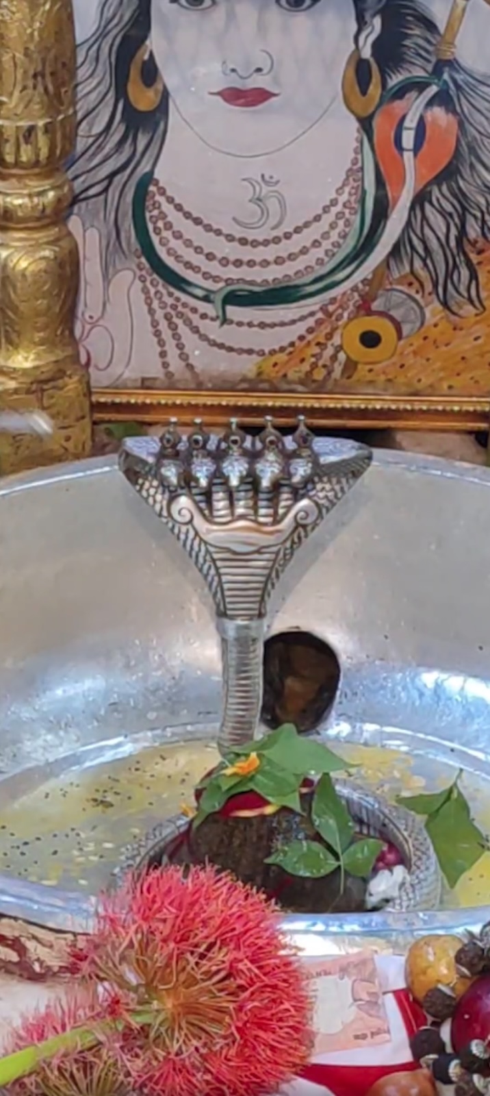Rudrabhishek to Shree Kubereshwar Mahadev