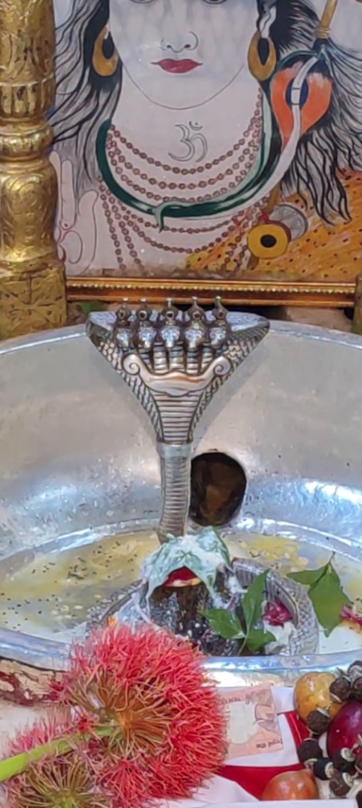 Rudrabhishek to Shree Kubereshwar Mahadev