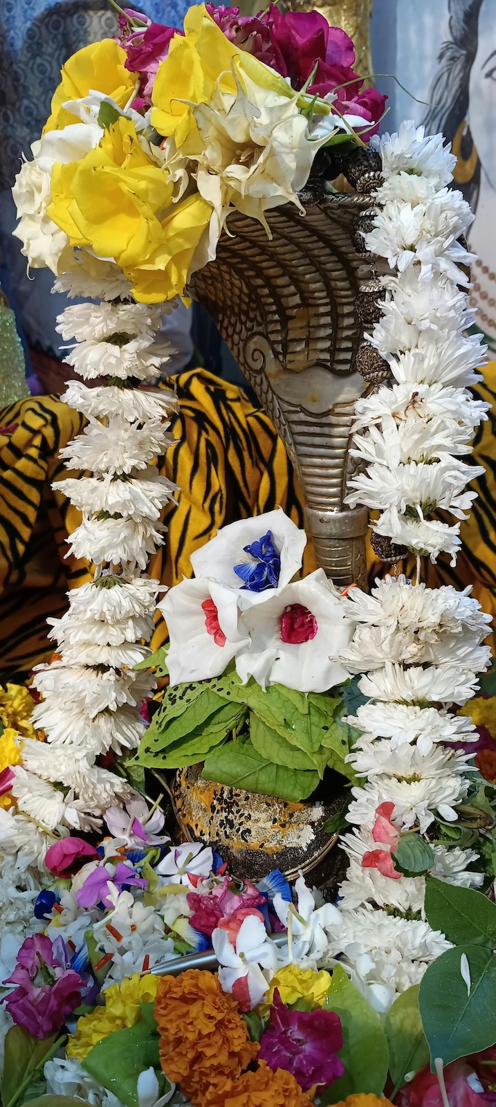 Rudrabhishek to Shree Kubereshwar Mahadev