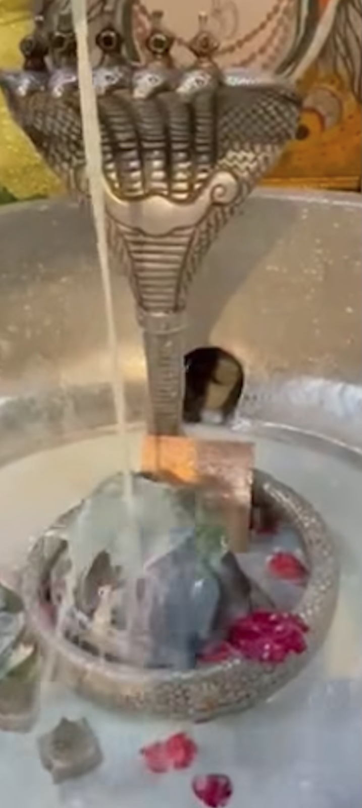 Rudrabhishek to Shree Kubereshwar Mahadev