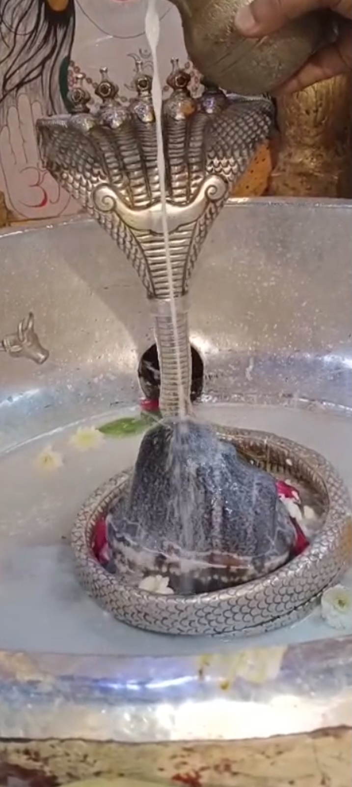 Rudrabhishek to Shree Kubereshwar Mahadev