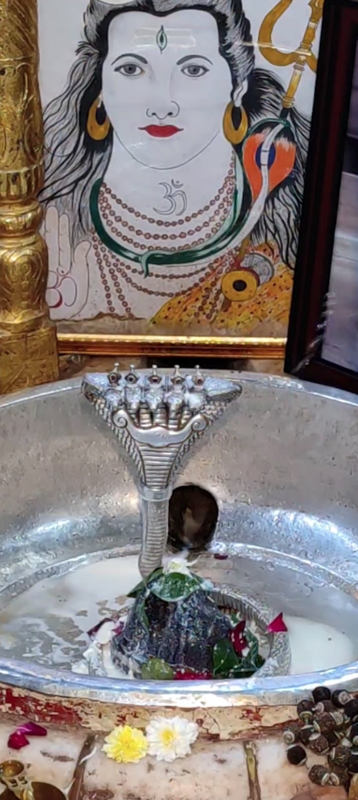 Rudrabhishek to Shree Kubereshwar Mahadev