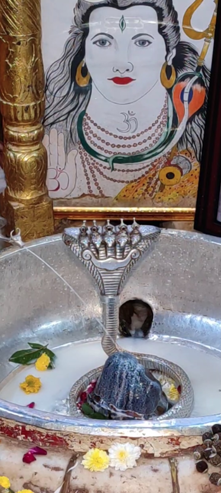Rudrabhishek to Shree Kubereshwar Mahadev