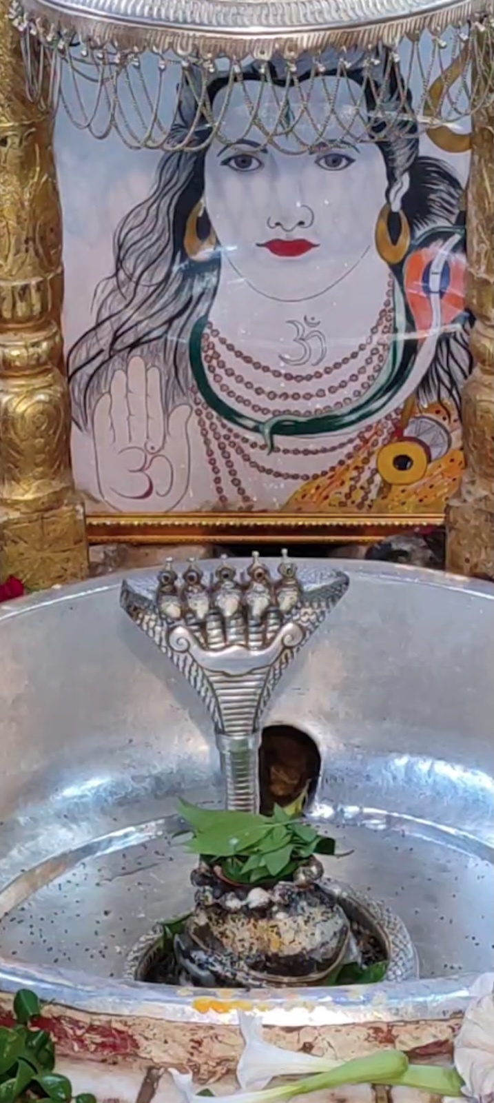 Rudrabhishek to Shree Kubereshwar Mahadev