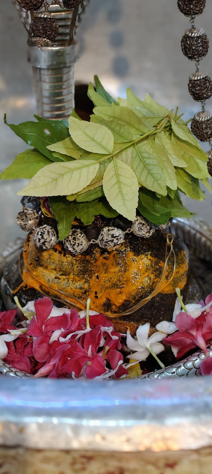 Rudrabhishek to Shree Kubereshwar Mahadev