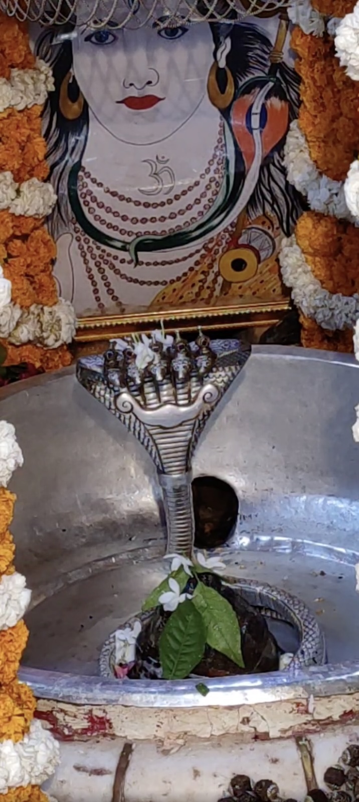 Rudrabhishek to Shree Kubereshwar Mahadev