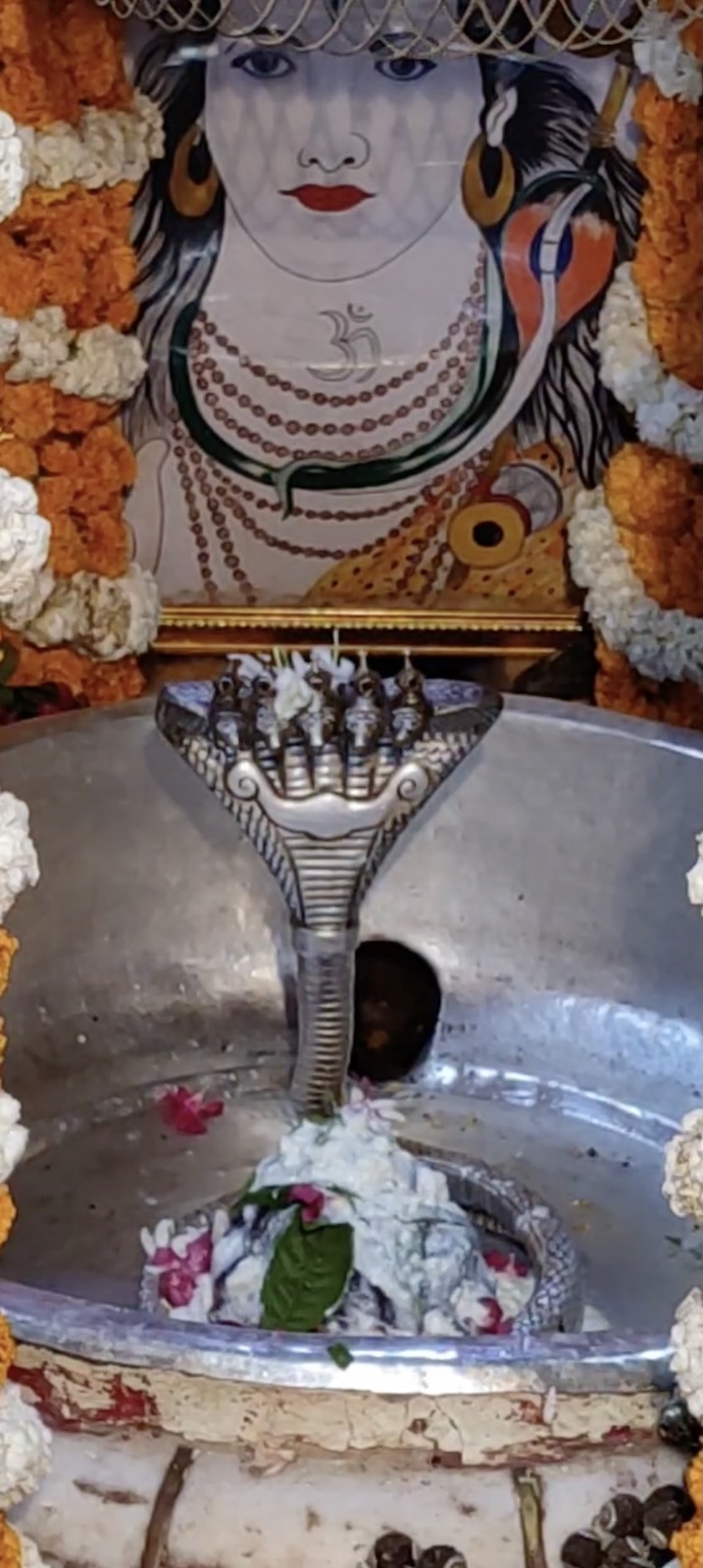 Rudrabhishek to Shree Kubereshwar Mahadev