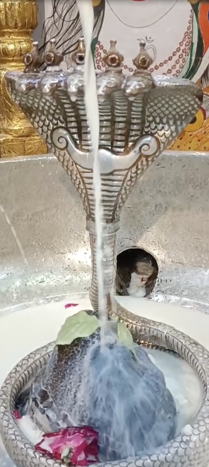 Rudrabhishek to Shree Kubereshwar Mahadev