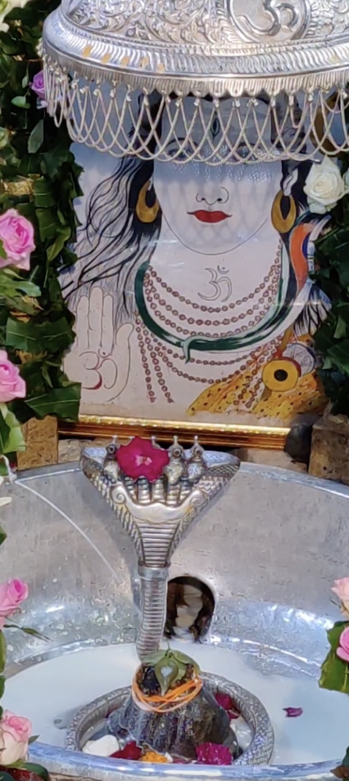 Rudrabhishek to Shree Kubereshwar Mahadev