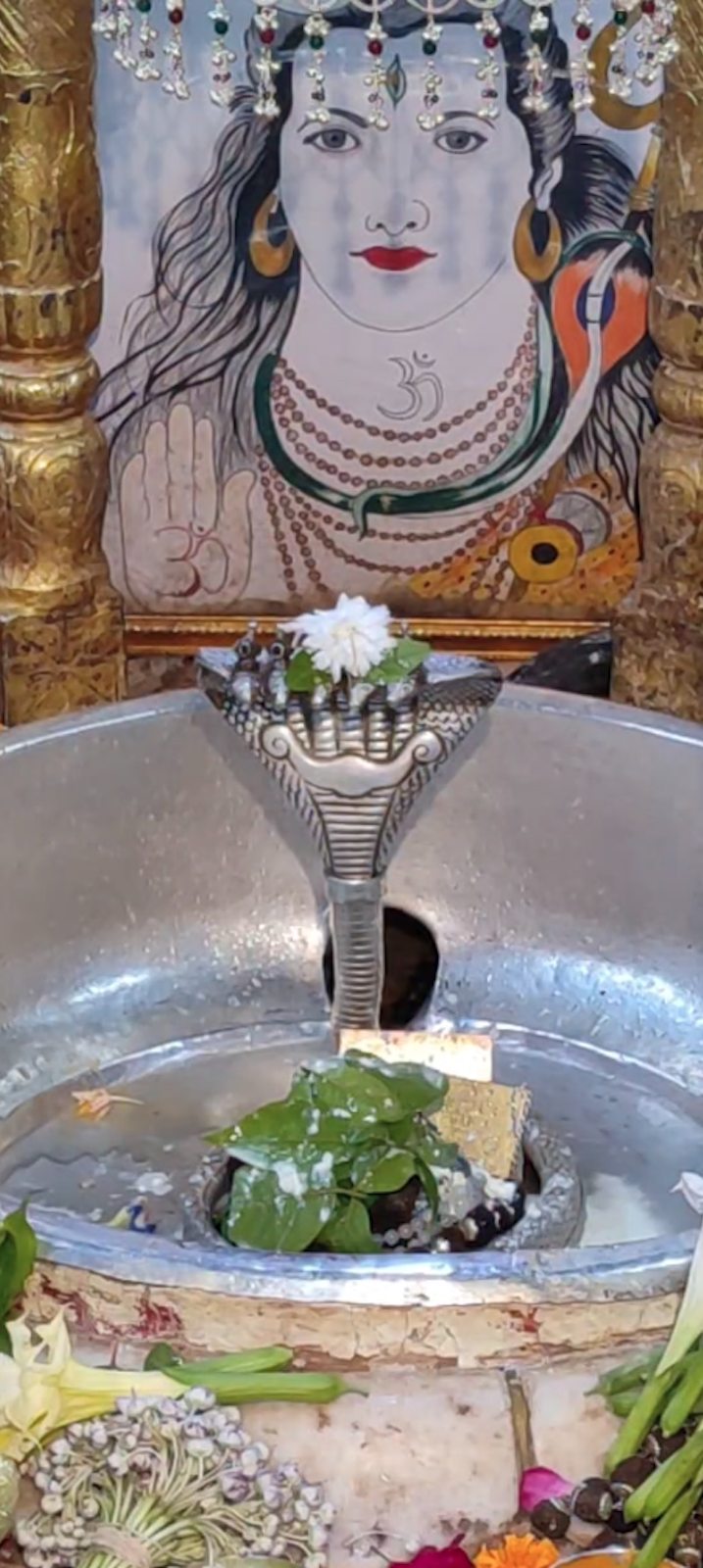 Rudrabhishek to Shree Kubereshwar Mahadev
