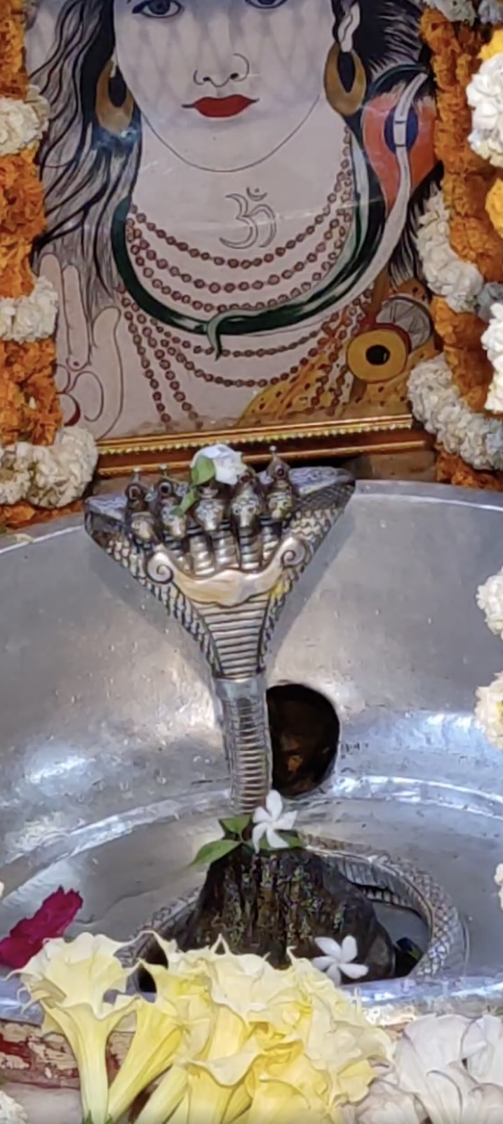 Rudrabhishek to Shree Kubereshwar Mahadev