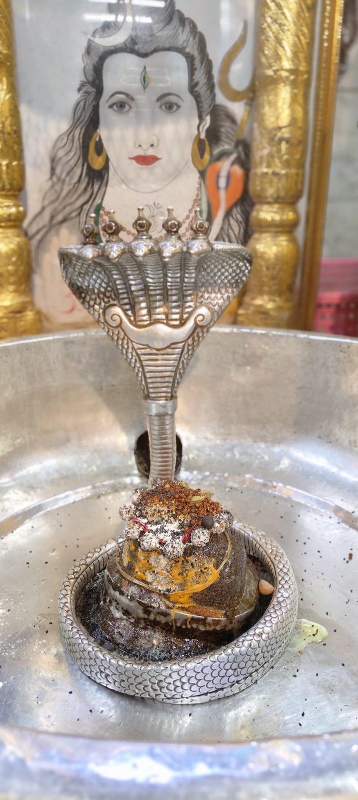 Rudrabhishek to Shree Kubereshwar Mahadev