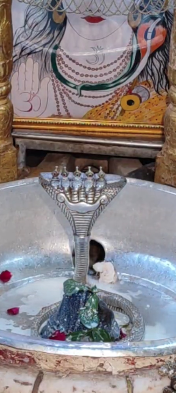 Rudrabhishek to Shree Kubereshwar Mahadev