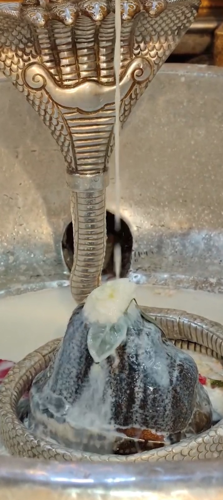 Rudrabhishek to Shree Kubereshwar Mahadev