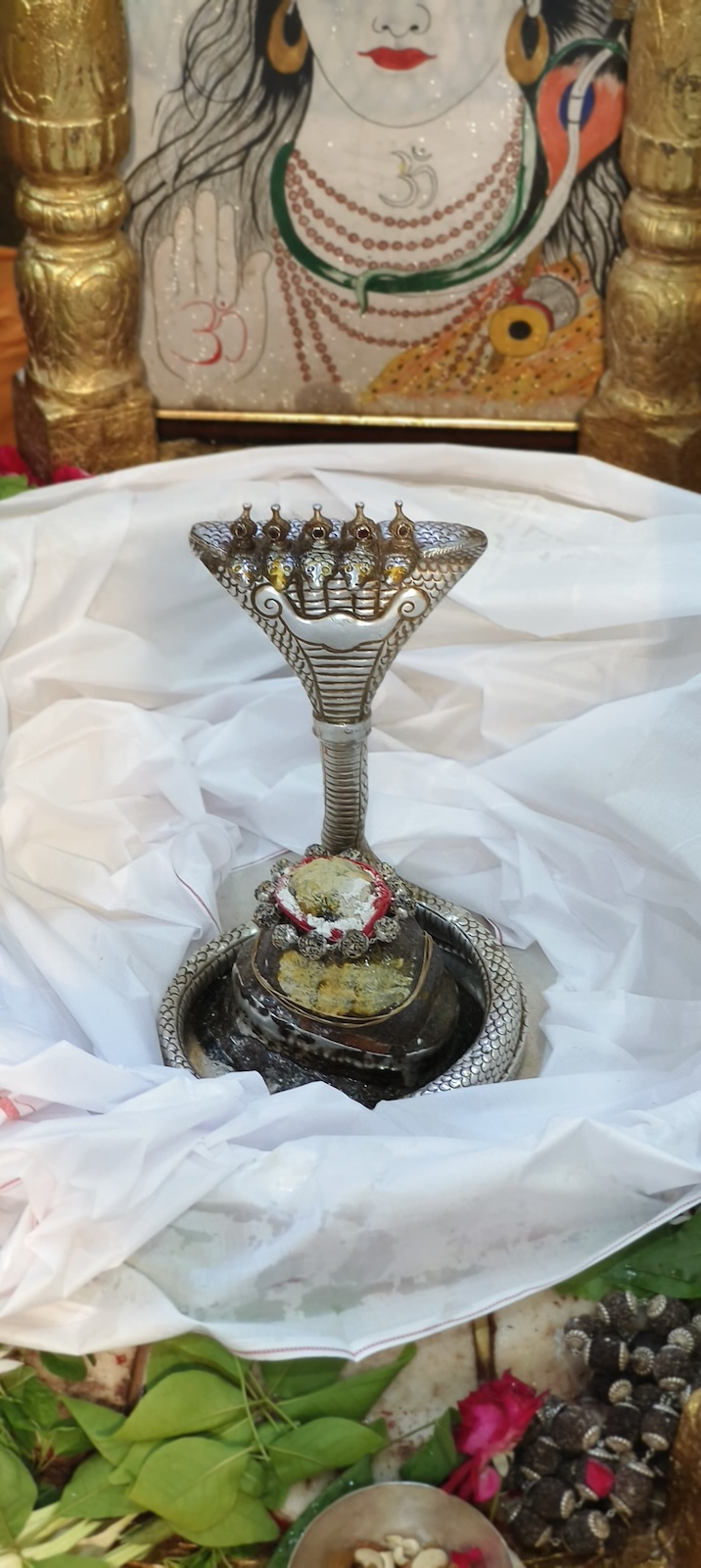 Rudrabhishek to Shree Kubereshwar Mahadev