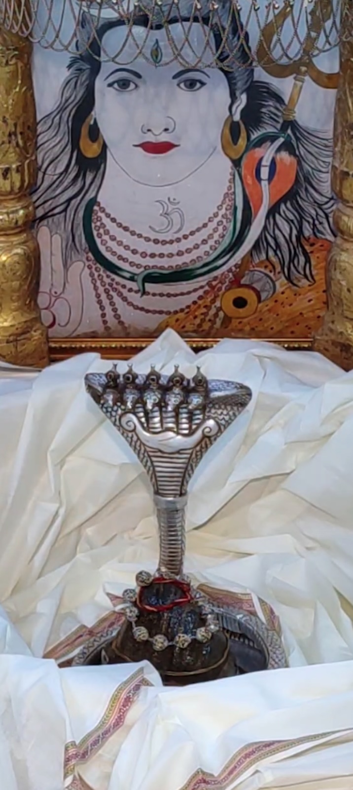Rudrabhishek to Shree Kubereshwar Mahadev