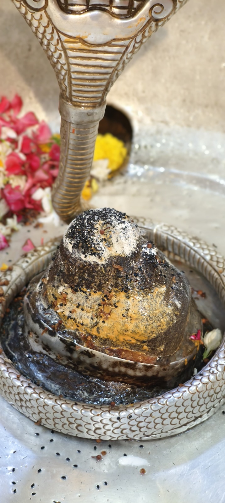 Rudrabhishek to Shree Kubereshwar Mahadev