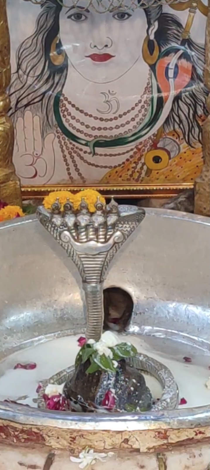Rudrabhishek to Shree Kubereshwar Mahadev