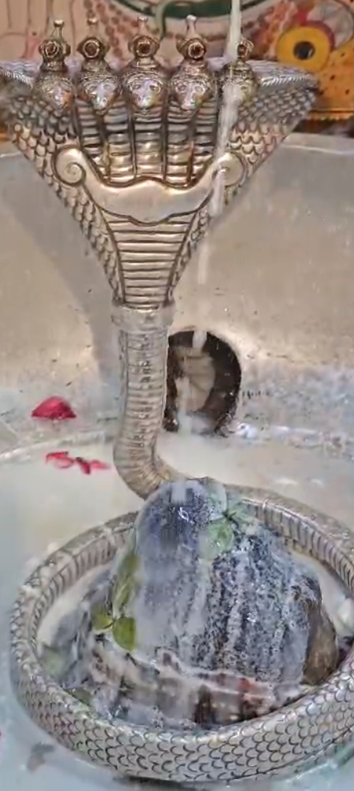 Rudrabhishek to Shree Kubereshwar Mahadev