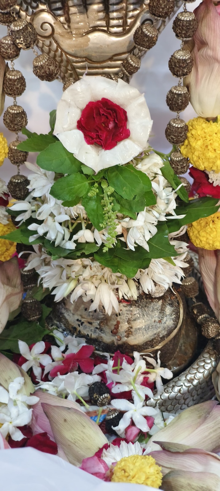 Rudrabhishek to Shree Kubereshwar Mahadev