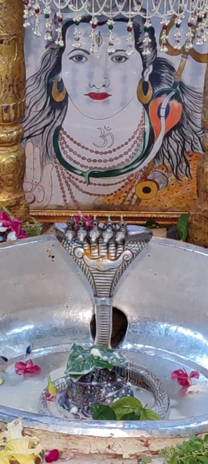 Rudrabhishek to Shree Kubereshwar Mahadev