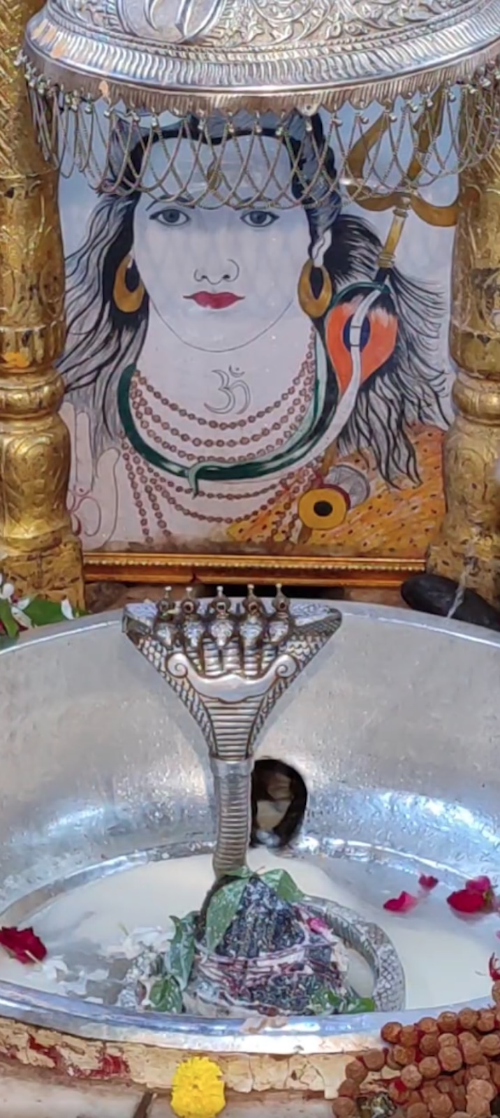 Rudrabhishek to Shree Kubereshwar Mahadev