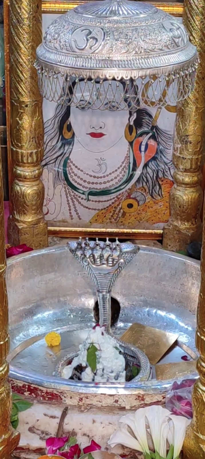 Rudrabhishek to Shree Kubereshwar Mahadev