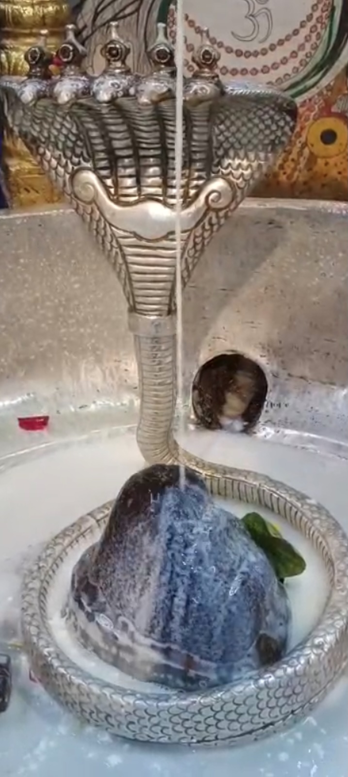 Rudrabhishek to Shree Kubereshwar Mahadev