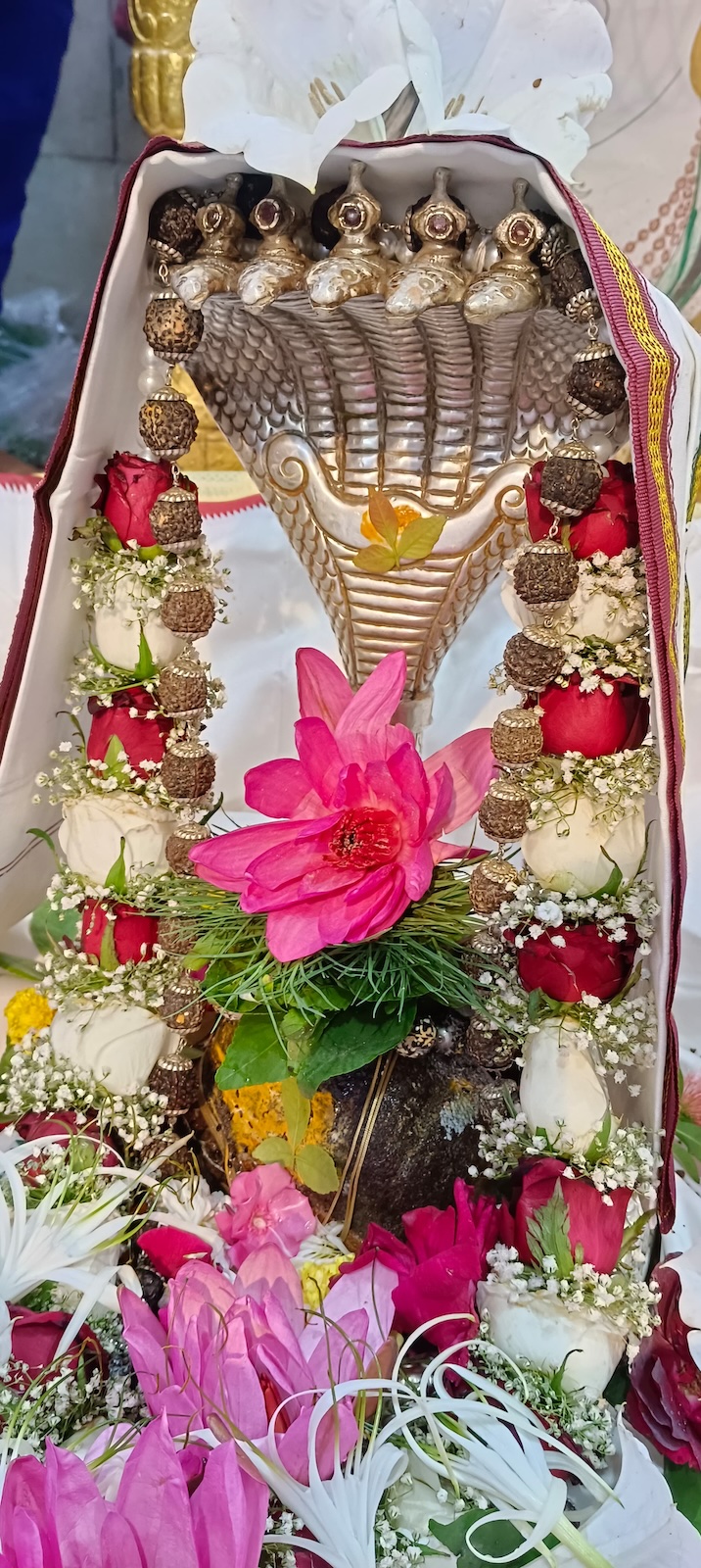 Rudrabhishek to Shree Kubereshwar Mahadev