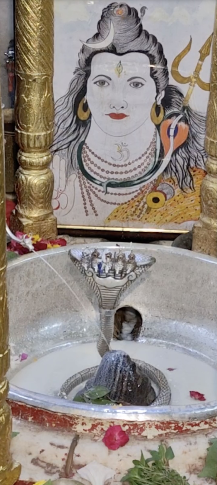 Rudrabhishek to Shree Kubereshwar Mahadev