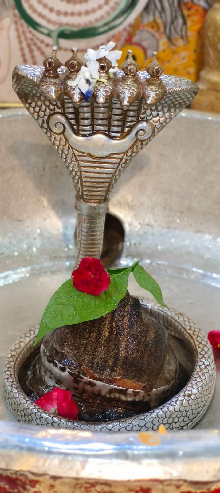 Rudrabhishek to Shree Kubereshwar Mahadev