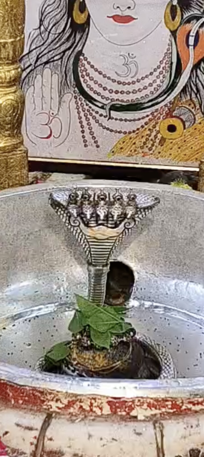 Rudrabhishek to Shree Kubereshwar Mahadev