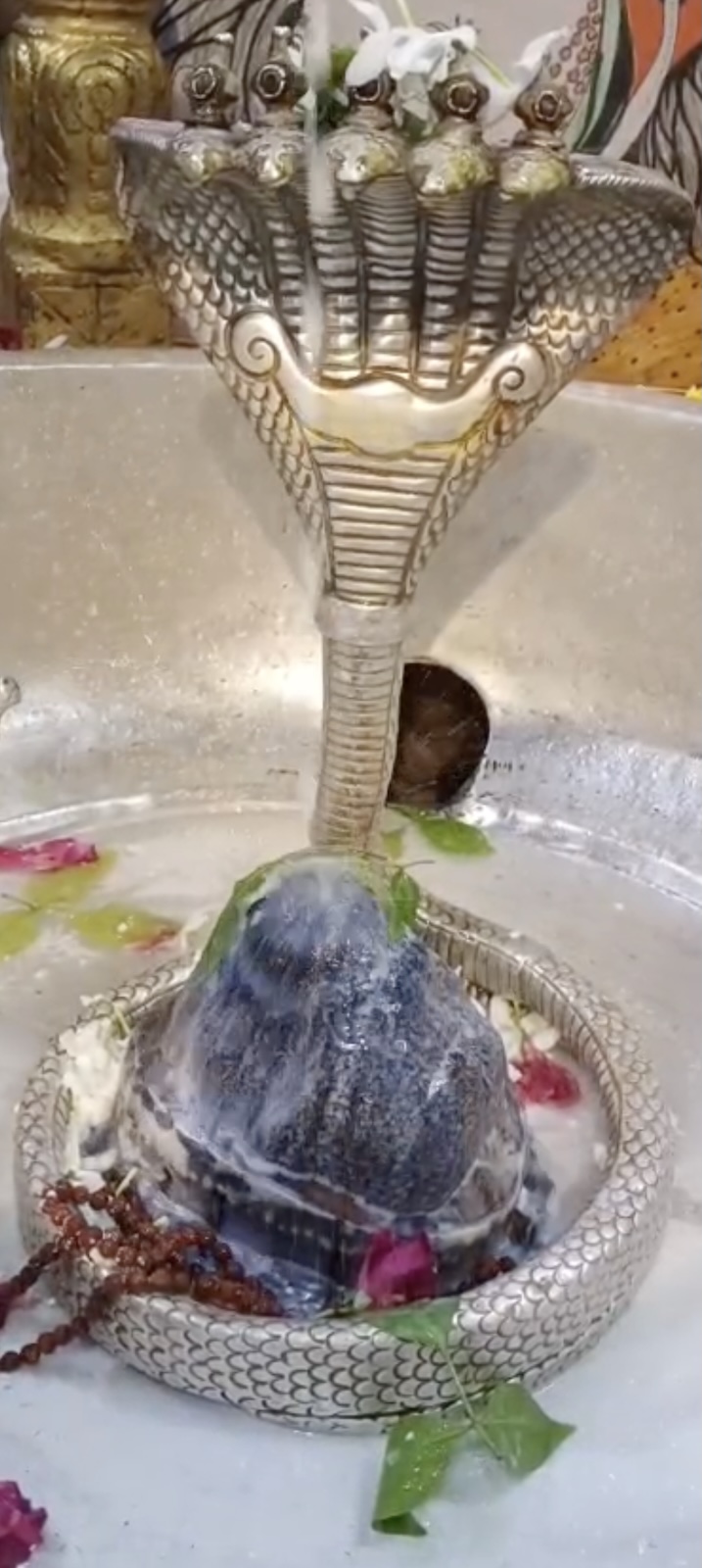 Rudrabhishek to Shree Kubereshwar Mahadev