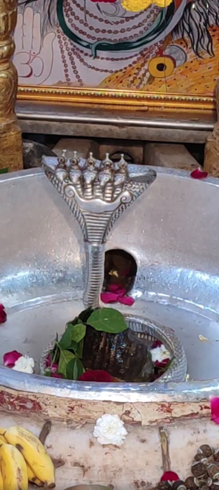 Rudrabhishek to Shree Kubereshwar Mahadev
