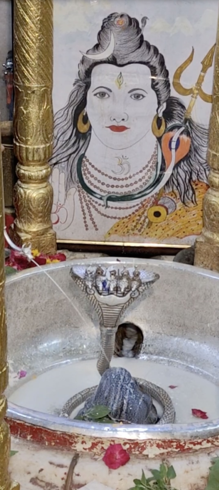Rudrabhishek to Shree Kubereshwar Mahadev