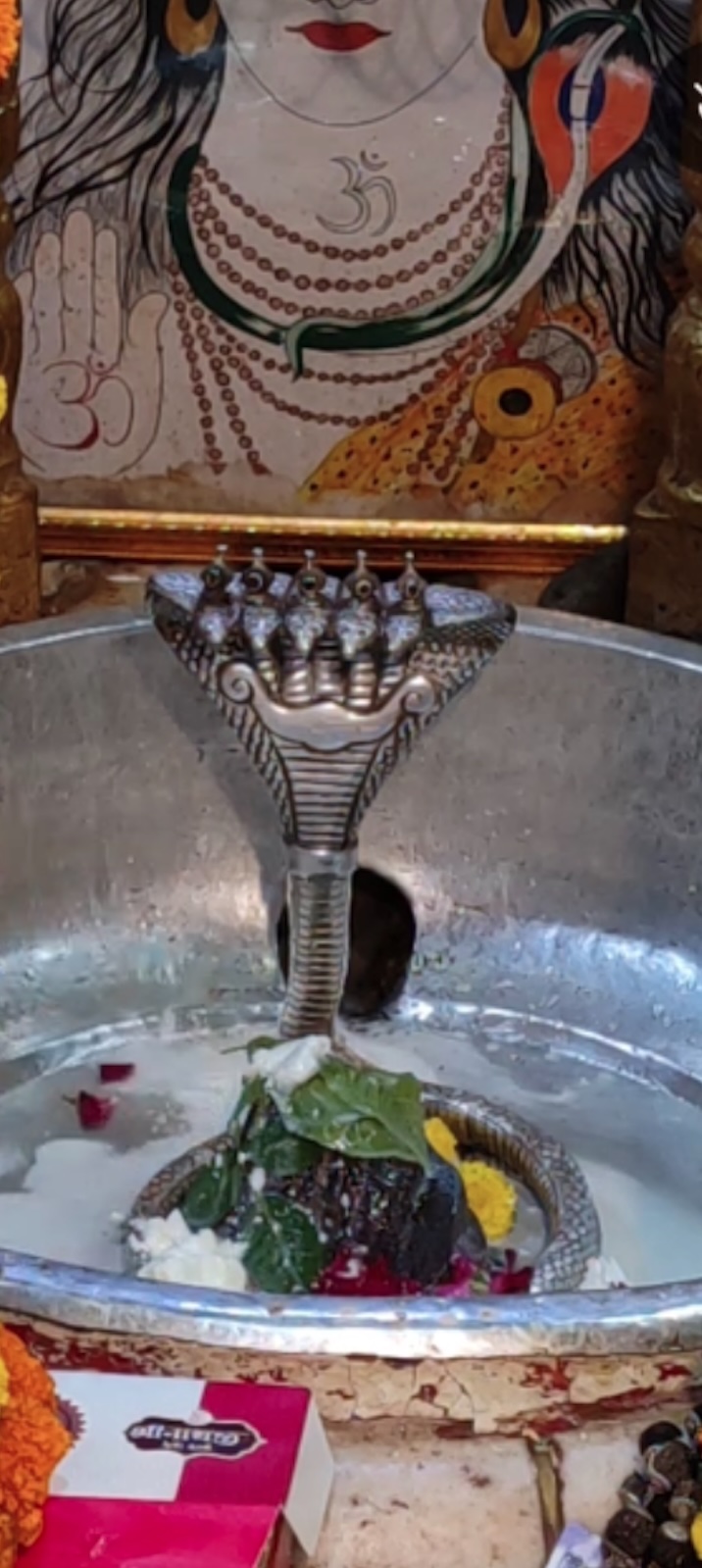 Rudrabhishek to Shree Kubereshwar Mahadev