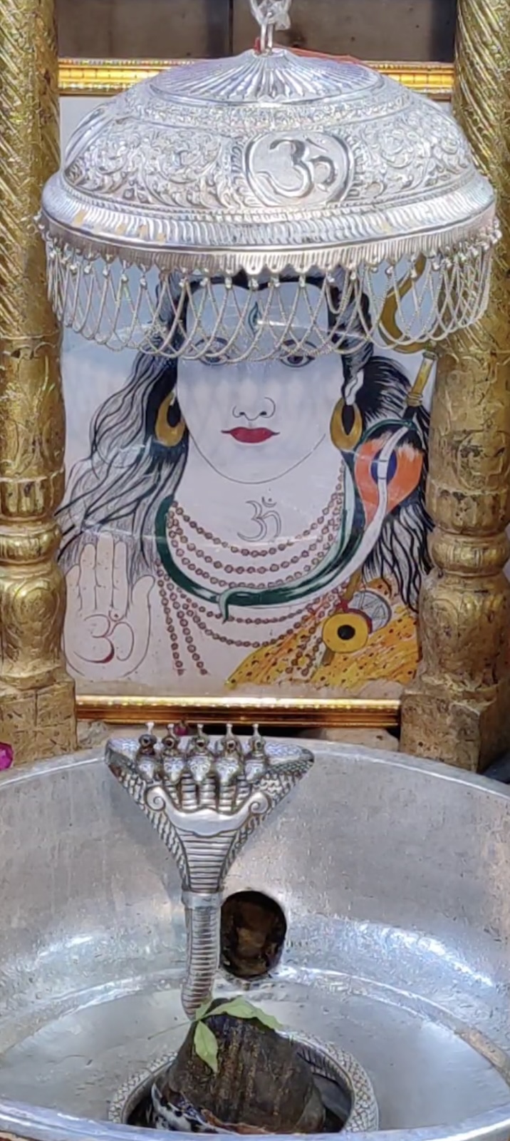 Rudrabhishek to Shree Kubereshwar Mahadev