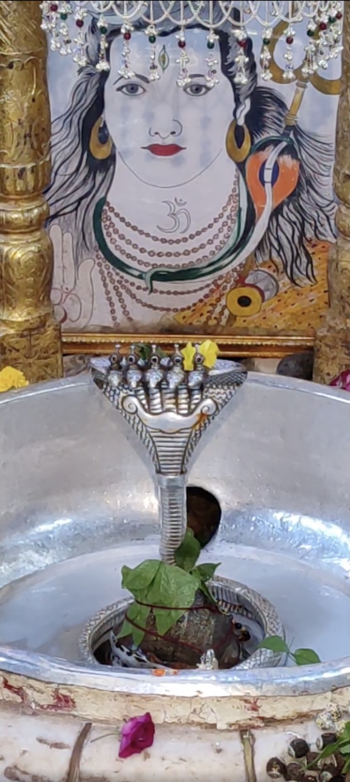 Rudrabhishek to Shree Kubereshwar Mahadev