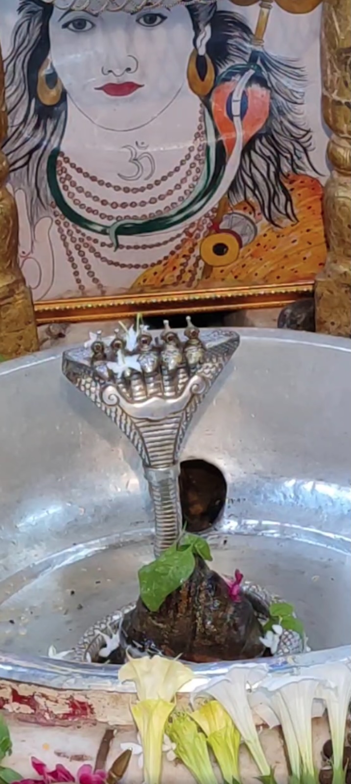 Rudrabhishek to Shree Kubereshwar Mahadev