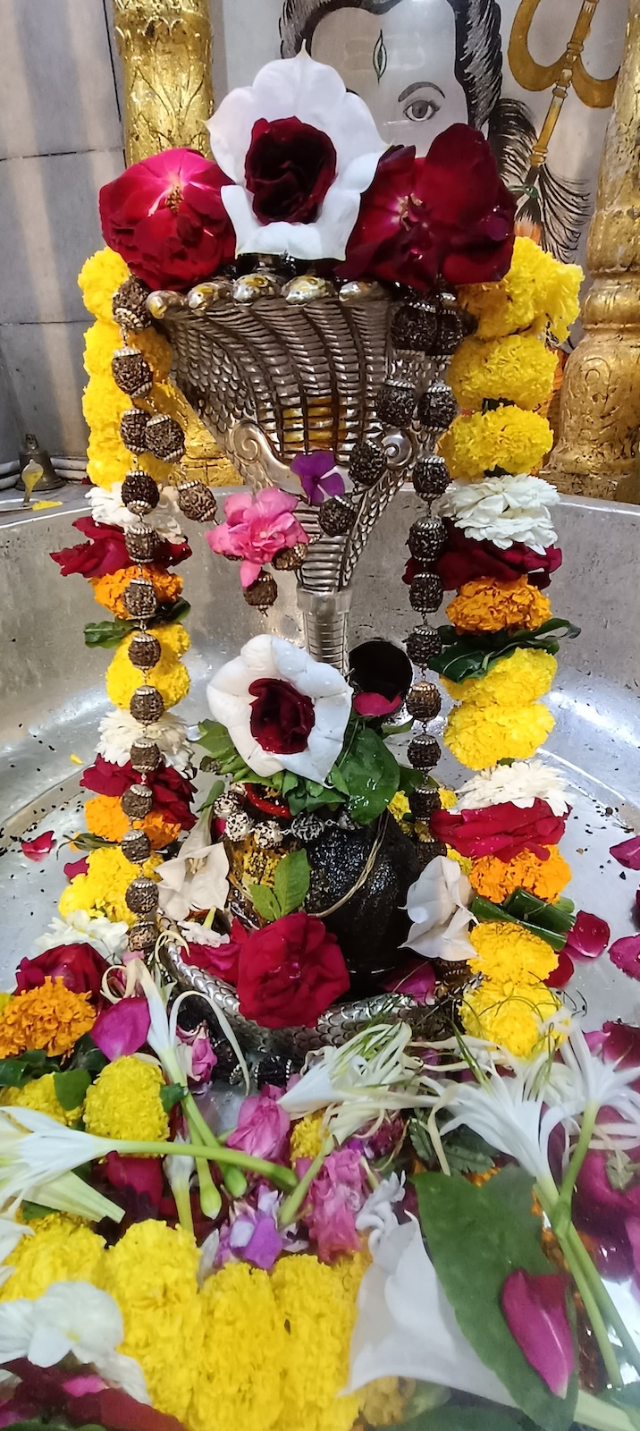 Rudrabhishek to Shree Kubereshwar Mahadev