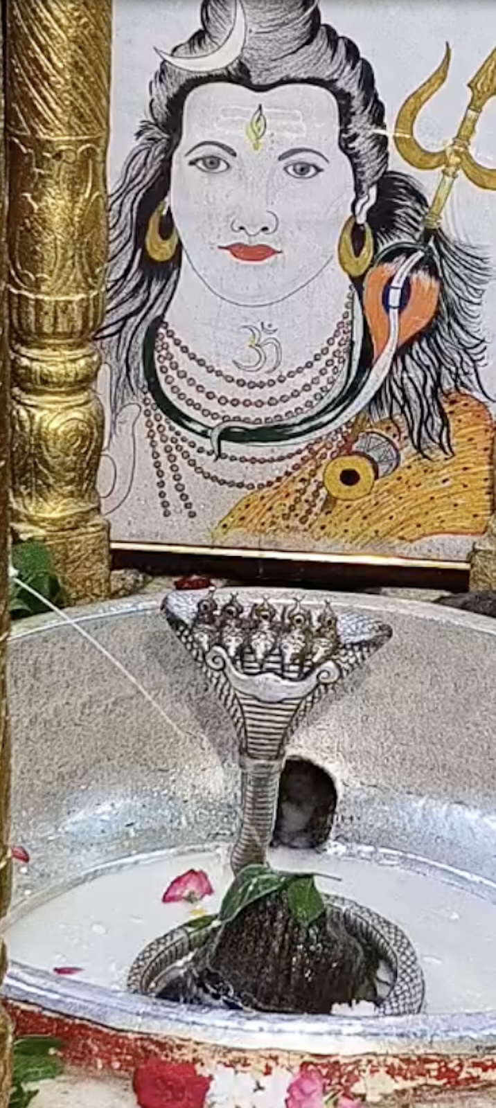 Rudrabhishek to Shree Kubereshwar Mahadev