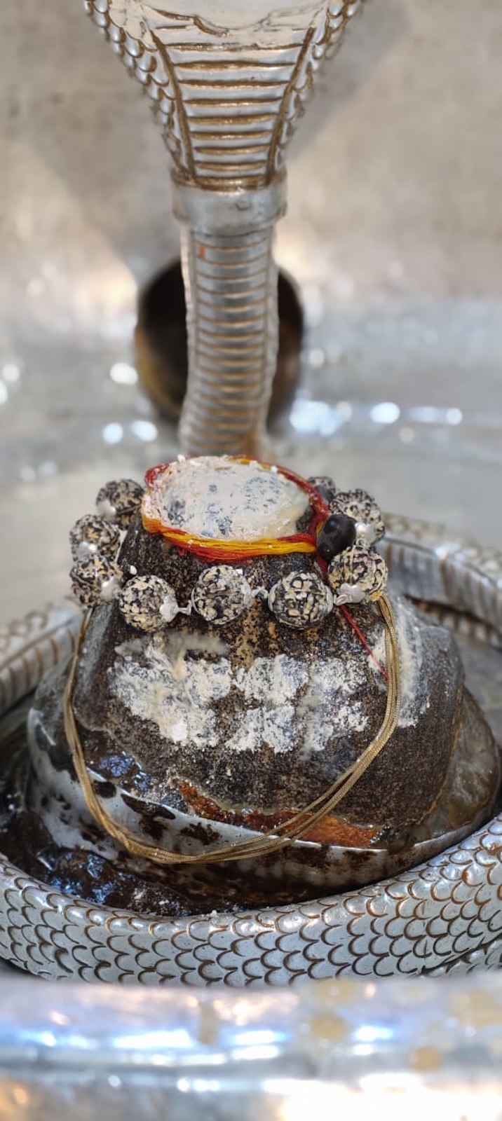 Rudrabhishek to Shree Kubereshwar Mahadev