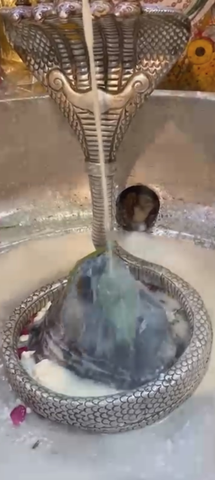 Rudrabhishek to Shree Kubereshwar Mahadev