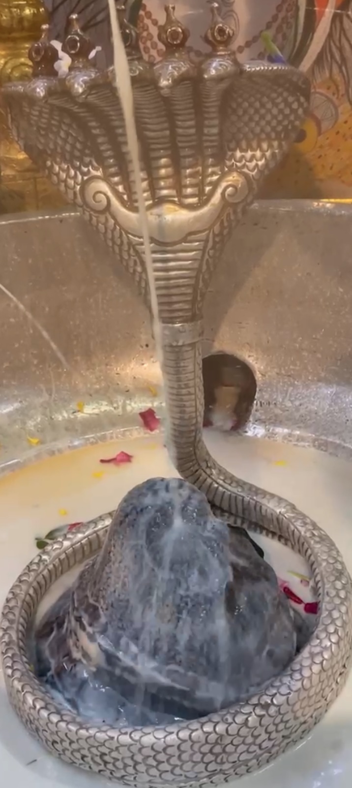 Rudrabhishek to Shree Kubereshwar Mahadev